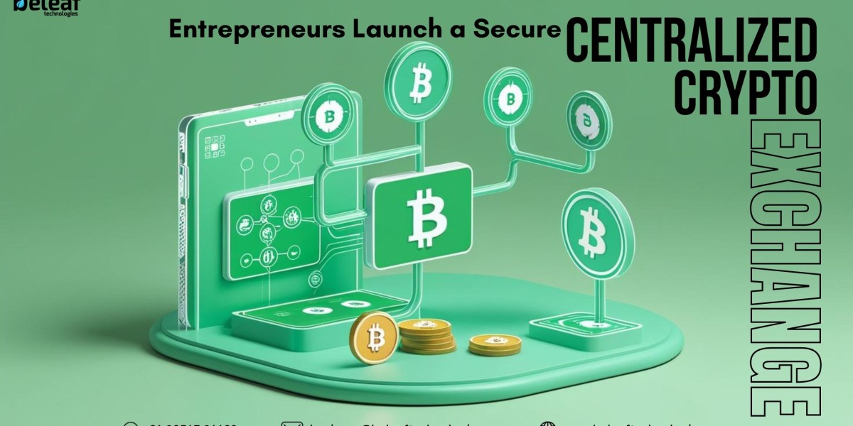 How Can Entrepreneurs Launch a Secure Centralized Crypto Exchange on a Budget?