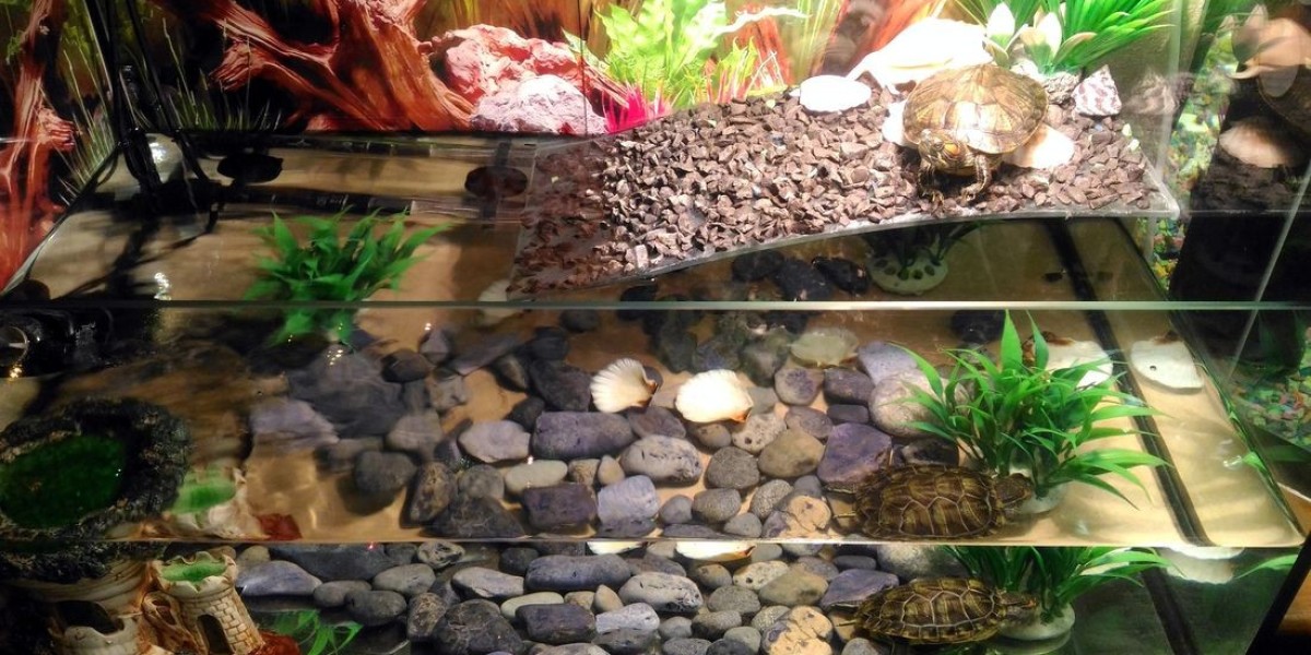 Reptile Enclosure Market Size, Trends, and Growth Analysis 2025-2032