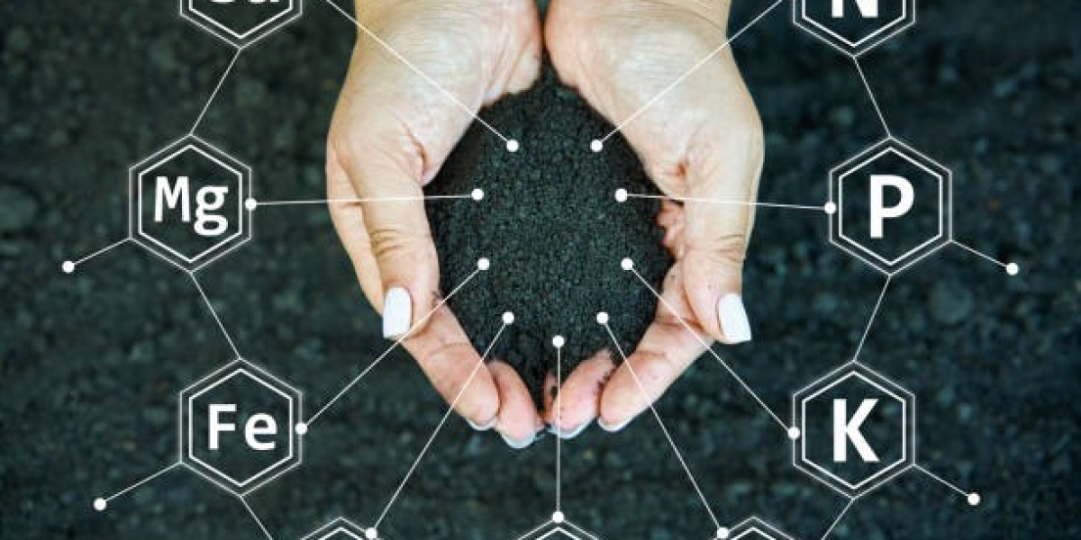 Global Humic Based Biostimulants Market Size Expands with Rising Organic Farming Demand