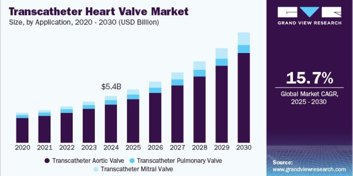 Transcatheter Heart Valve Market 2030: What Patients Need to Know