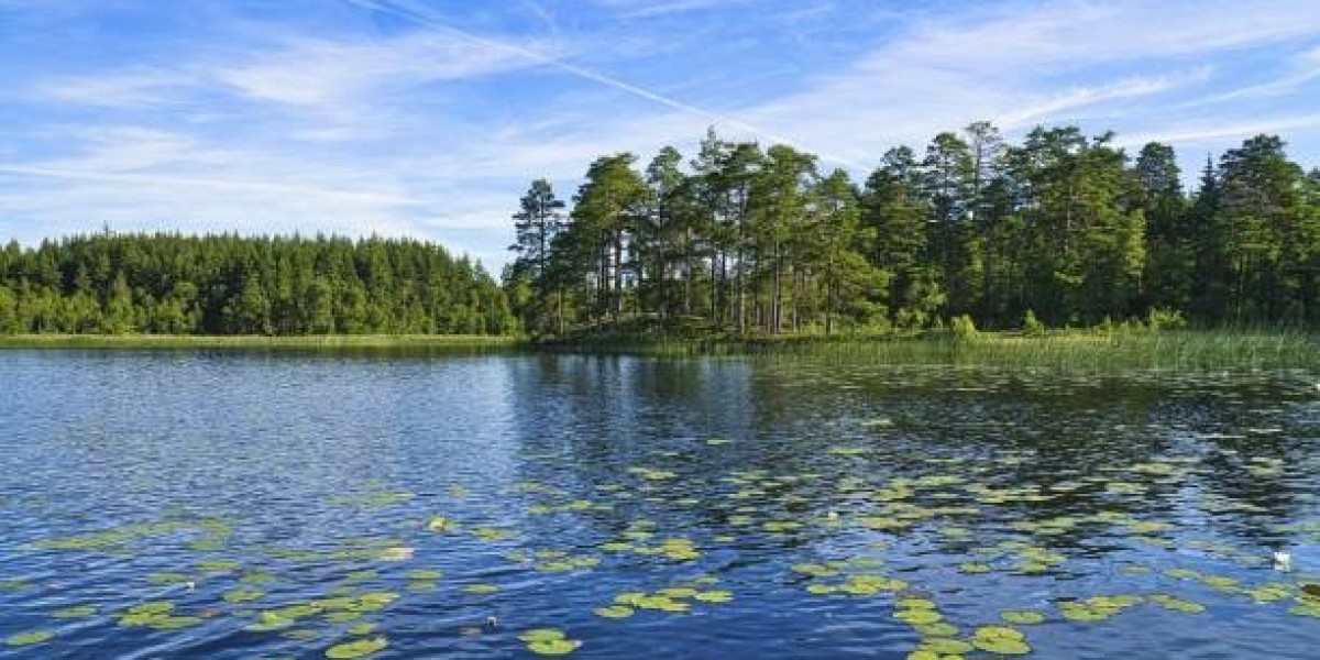 Discover Sweden’s Most Beautiful Lakes and Archipelagos