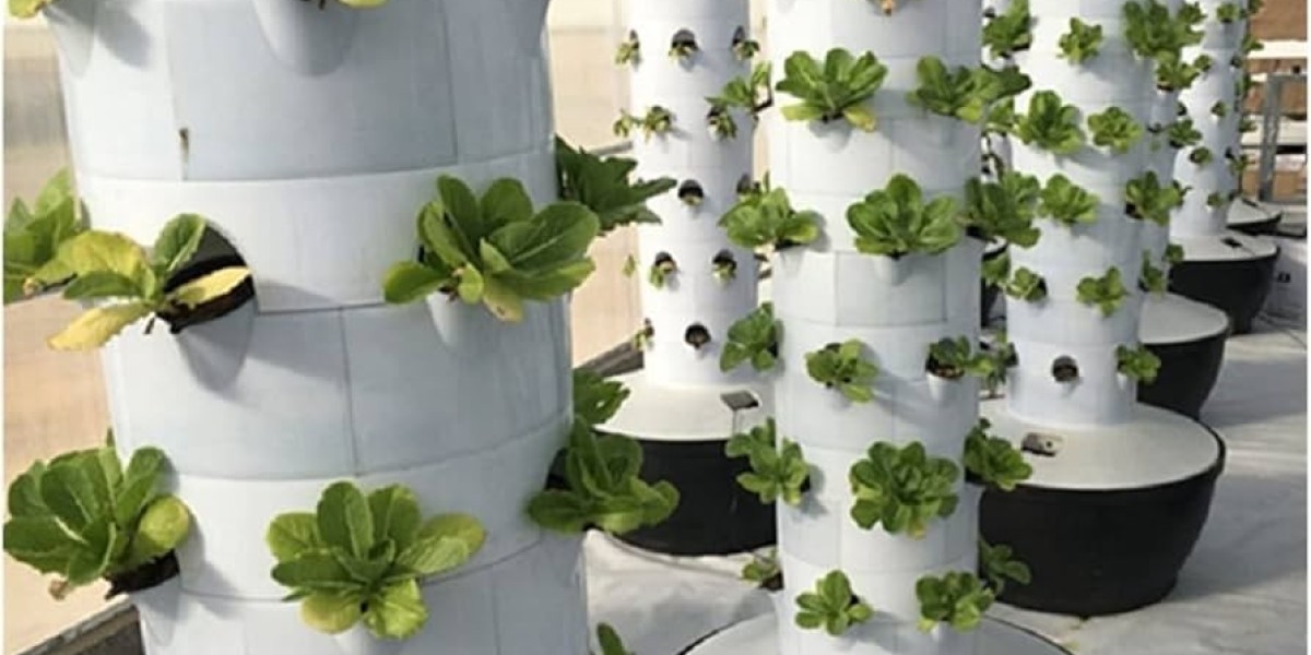 Aeroponics Market Summary Highlights Growth Drivers, Innovations, Challenges, and Global Adoption Trends