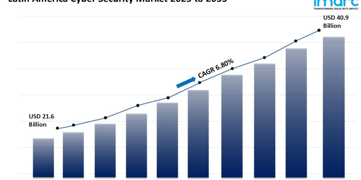 Latin America Cyber Security Market Analysis 2025-2033