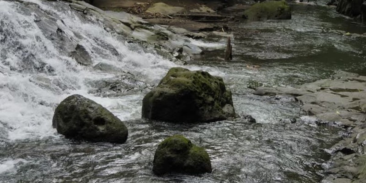 Bali’s Wild Side: Waterfalls, Volcanoes & Jungle Adventures