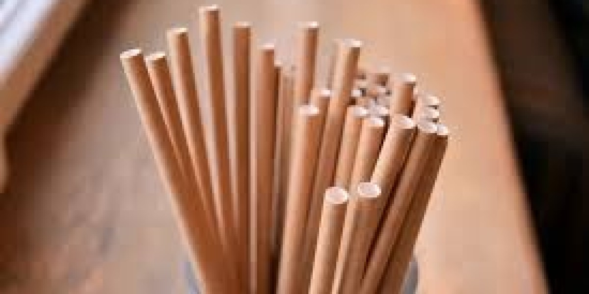 Eco-Friendly Straws Market innovation trends transforming the eco-packaging landscape this decade