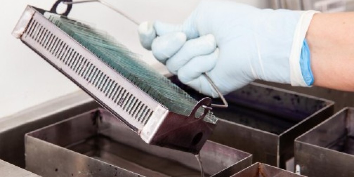 Improving Seed Quality and Efficiency with Inline Cleaning and Seed Box Washer Solutions