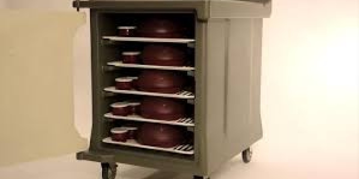Meal Delivery Carts and Racks Market Strategic Moves Reshaping Competitive Landscape