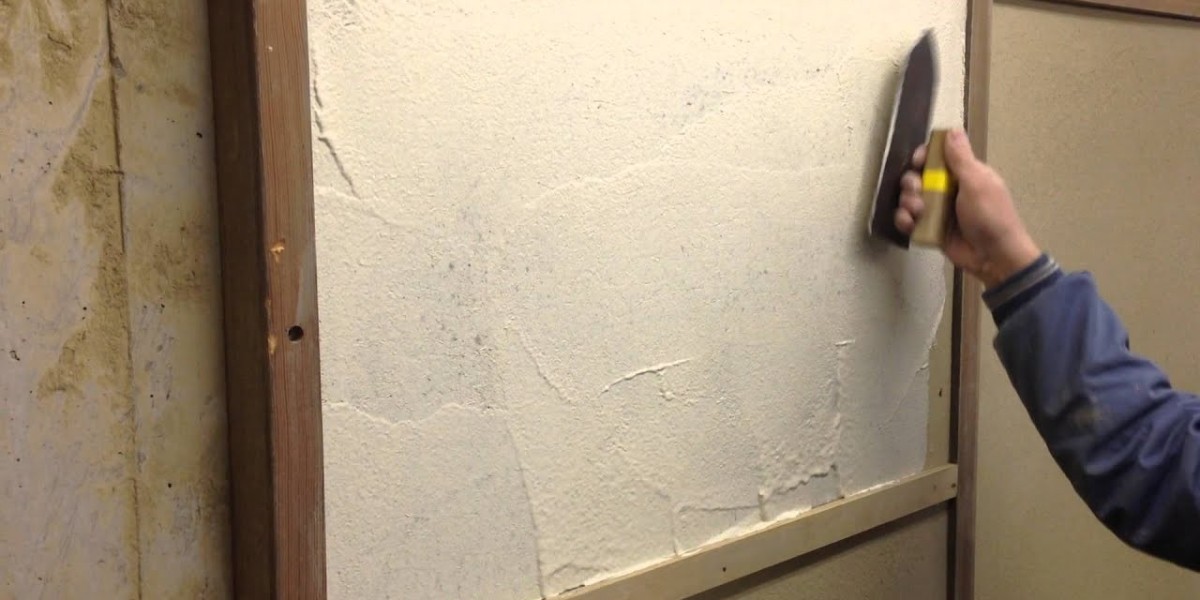 Impact of Bio-Enhanced Lime Plasters on Market Growth Prospects