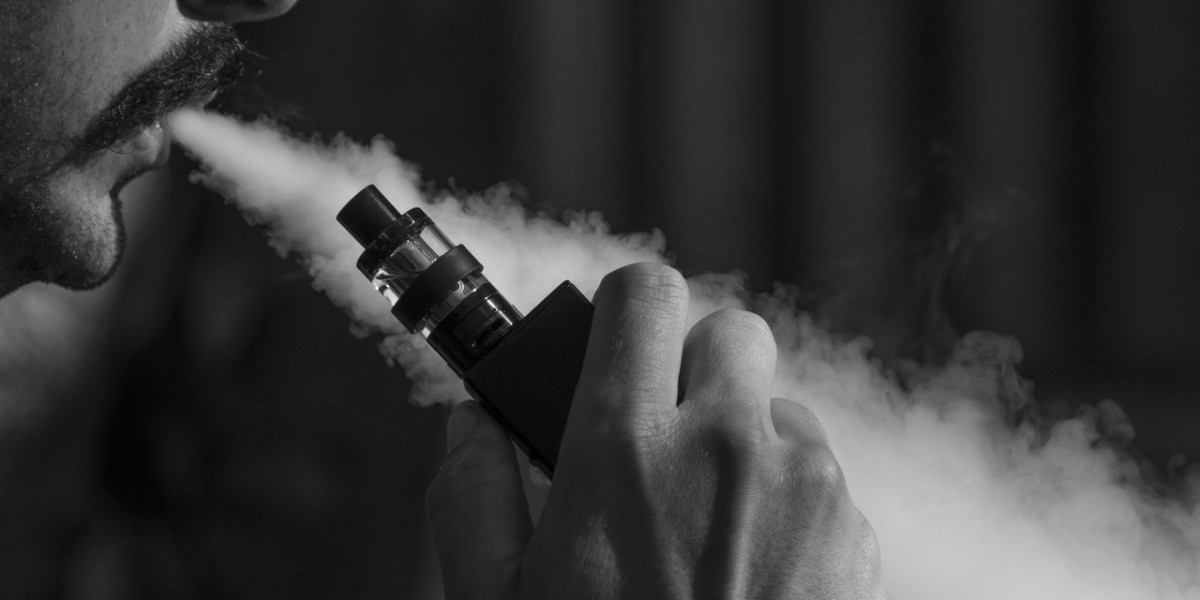 The Rise of Pablo Nicotine Pouches Wholesale: A Trend Transforming Modern Tobacco Alternatives