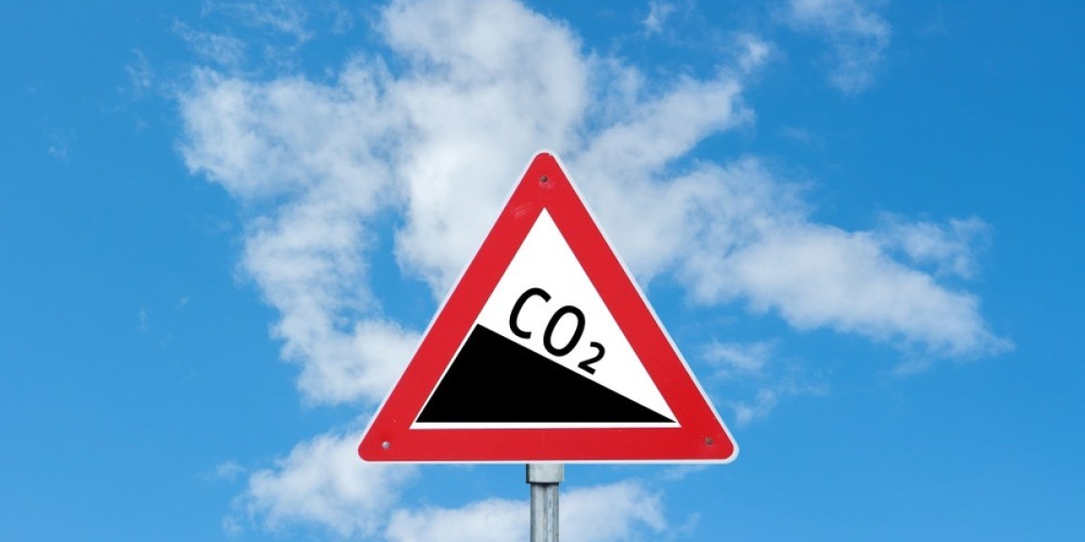 Carbon Is Currency: The Rise of the Carbon Asset Class and the Death of Fossil Externalities
