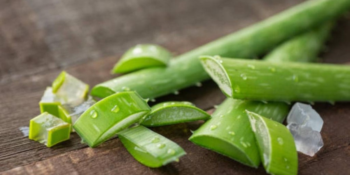 Aloe Vera Extracts Market Impacting Factors Including Demand Trends, Regulations, and Product Advancements