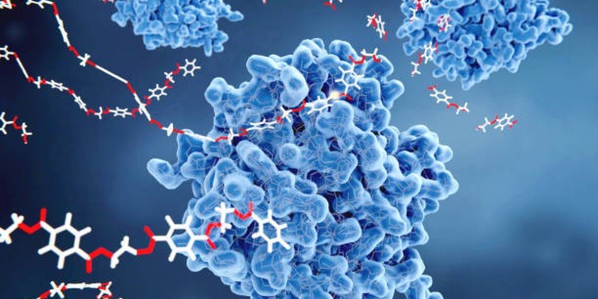 Top Enzymes Market Size Share and Growth Outlook Report