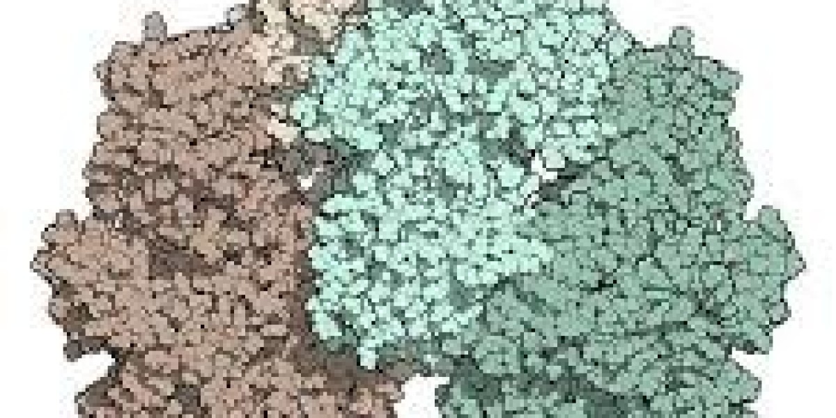 Lactase Market Dynamics: Shifting Consumer Needs and Innovation Reshape the Industry