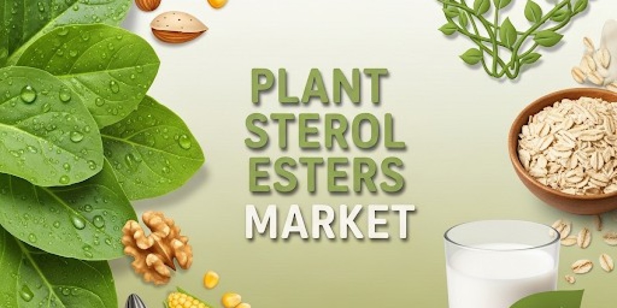 Plant Sterol Esters Market 2025 Size, Growth Analysis Report, Forecast to 2035