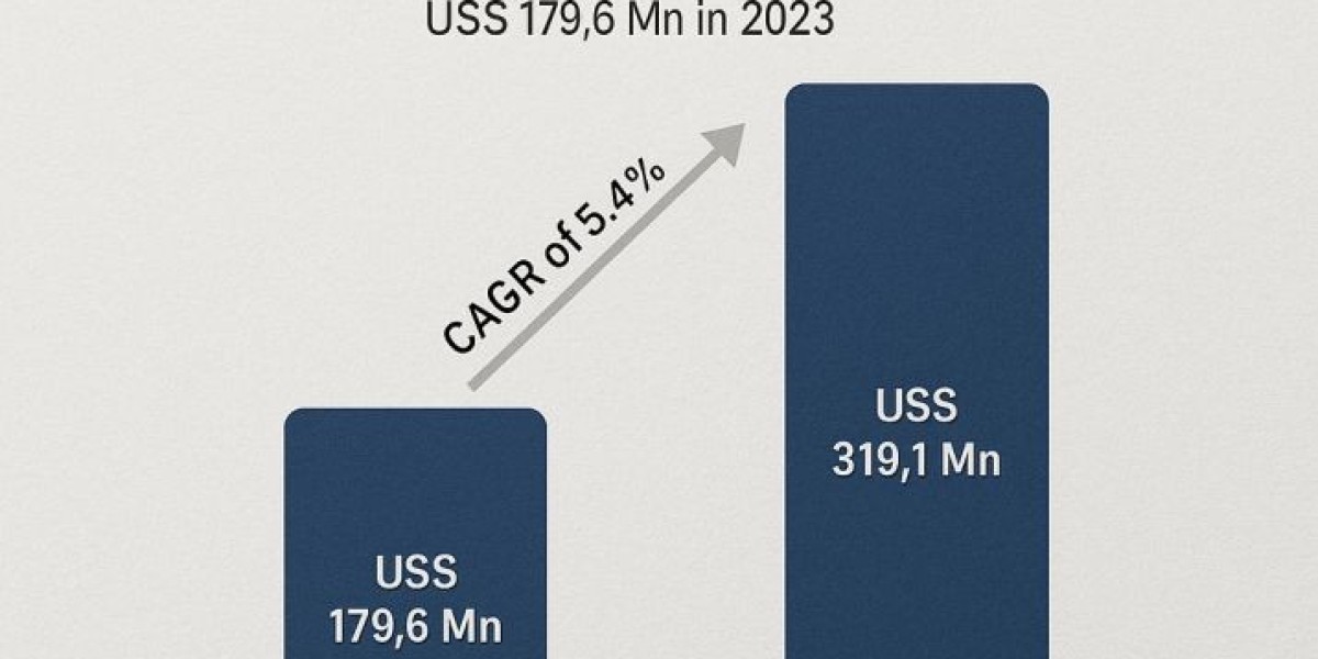 Packed for Performance: Tool Bags Market Insights in North America