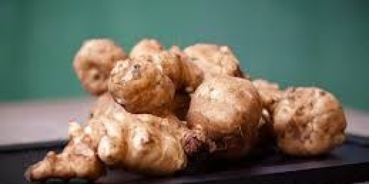 Fructo-Oligosaccharides Market Dynamics: Health Trends, Innovation, and Consumer Demand