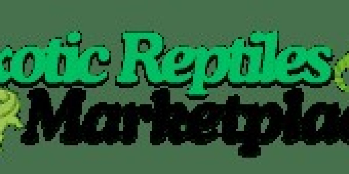 Your Trusted Source for Venomous Snakes for Sale