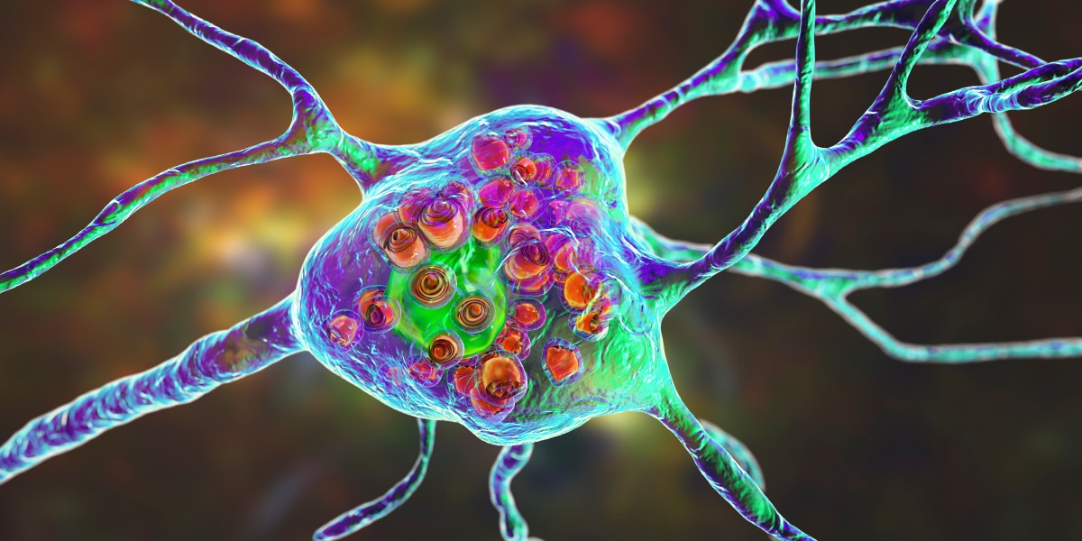 Decoding the Porcine Immune Dialogue: The Power of the Porcine Luminex Cytokine Panel