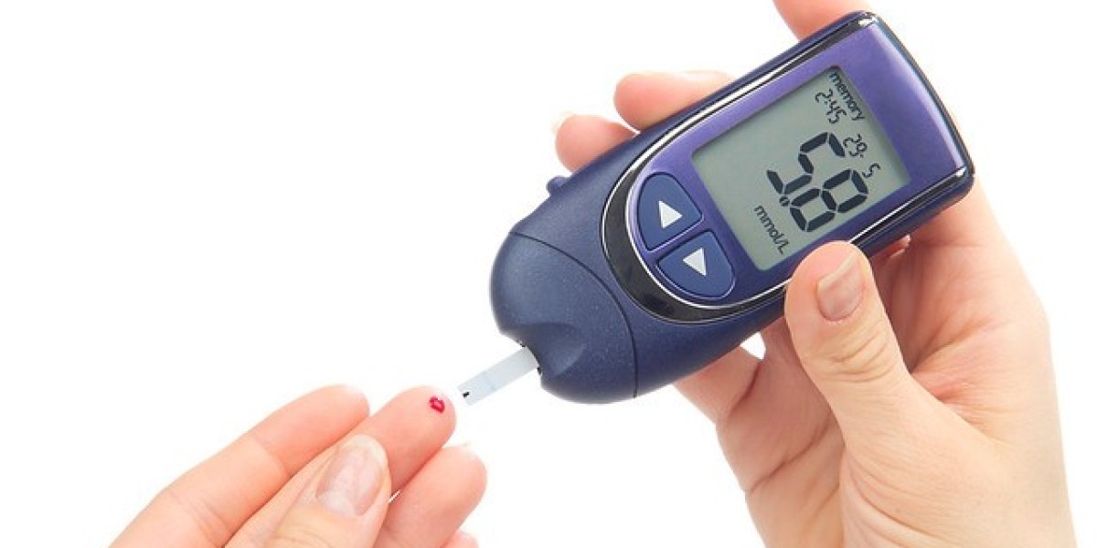 Veterinary Glucometers Market Witnesses Technological Innovations in Species-Specific Diagnostic Devices