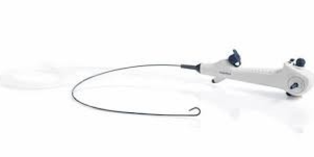 Single-Use Bronchoscopes Market Dynamics Shaped by Safety, Cost, and Innovation