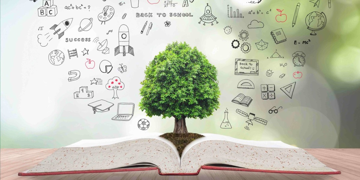 Top 5 Countries Offering Post-Study Work Opportunities