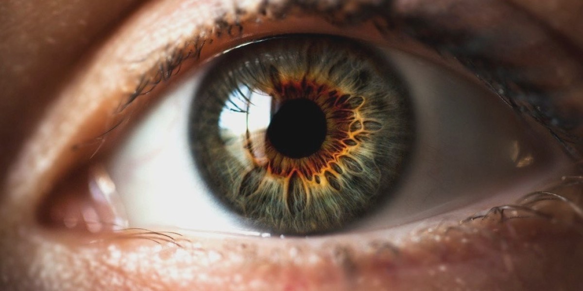 Eylea Market Under Pressure: Key Drivers of Decline and Opportunity