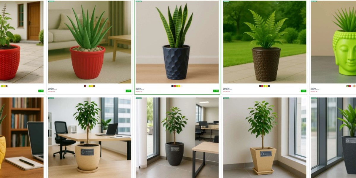 Why Grow Green Nursery Pots Are Perfect for Every Plant Lover