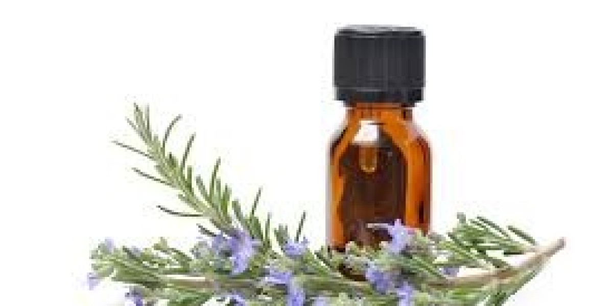 Rosemary Extract Market Dynamics Highlight Drivers, Challenges, and Growth Opportunities