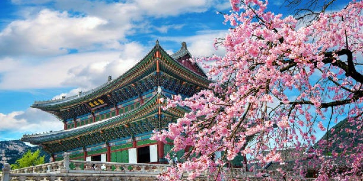 Simplify Your Seoul Tour with the City Tour Bus