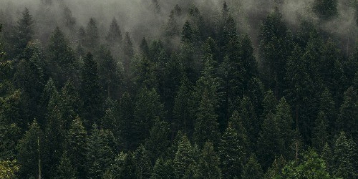 Download Free HD Desktop Wallpapers for PC and Laptop