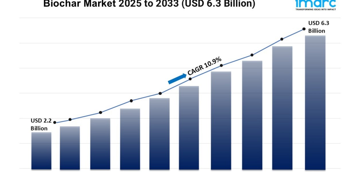 Biochar Market Size, Growth, Share, and Trends Report 2025-2033