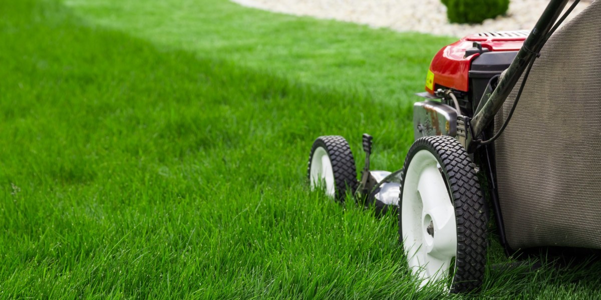 How to Achieve a Healthy Lawn in and Leander