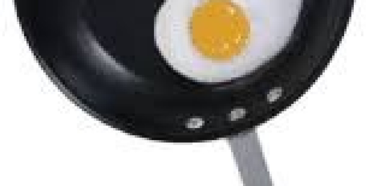 Egg White Peptide Market Competitiveness Shaped by Global Supplement Brand Strategies