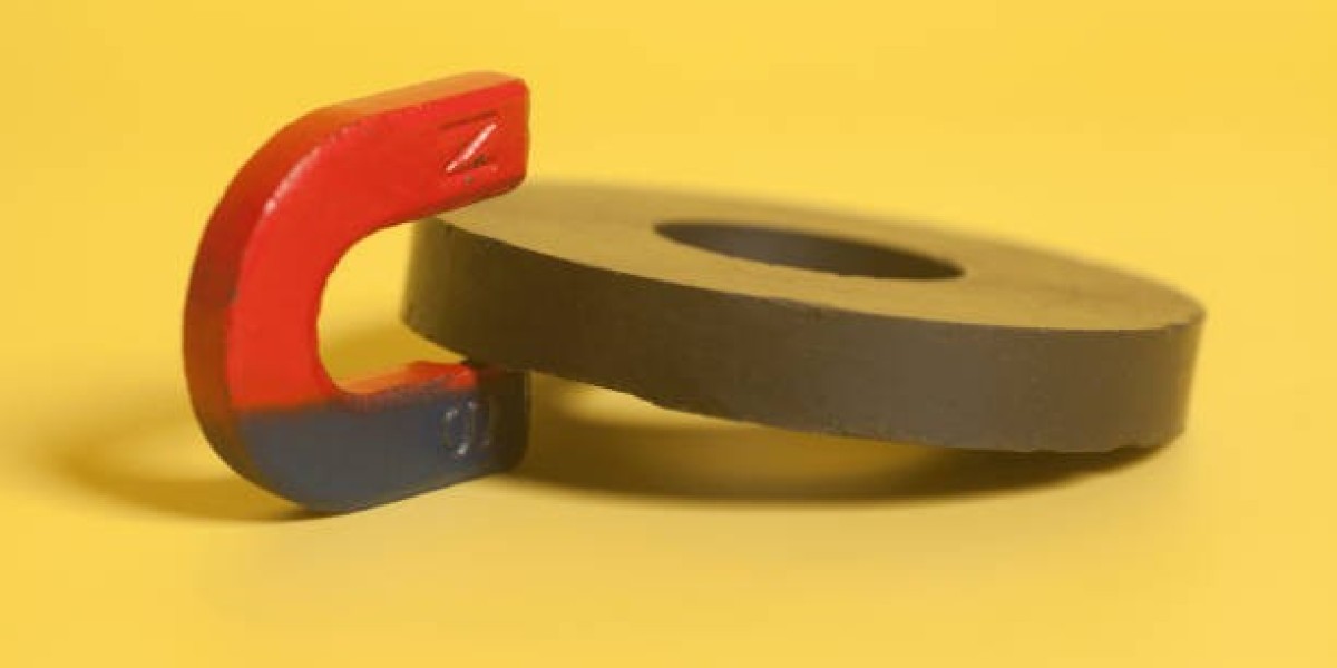 Top Trends Shaping the Ferrite Magnet Powder Market from 2025 to 2033