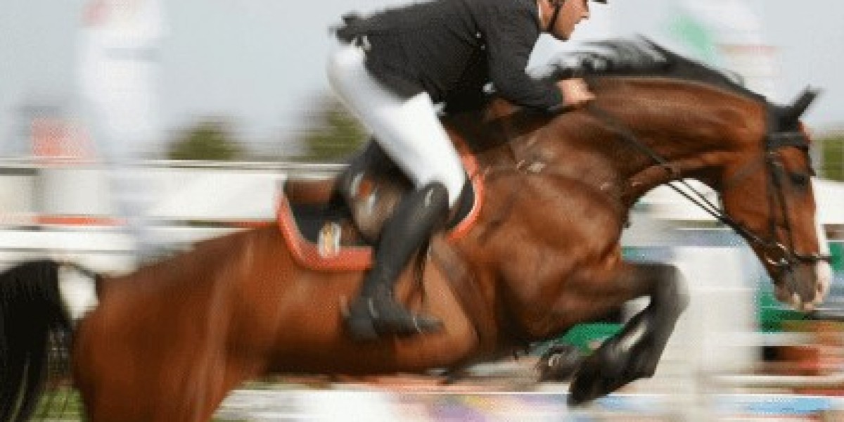 Top-Rated Sports Betting Odds API for Bookmakers and Fantasy Platforms