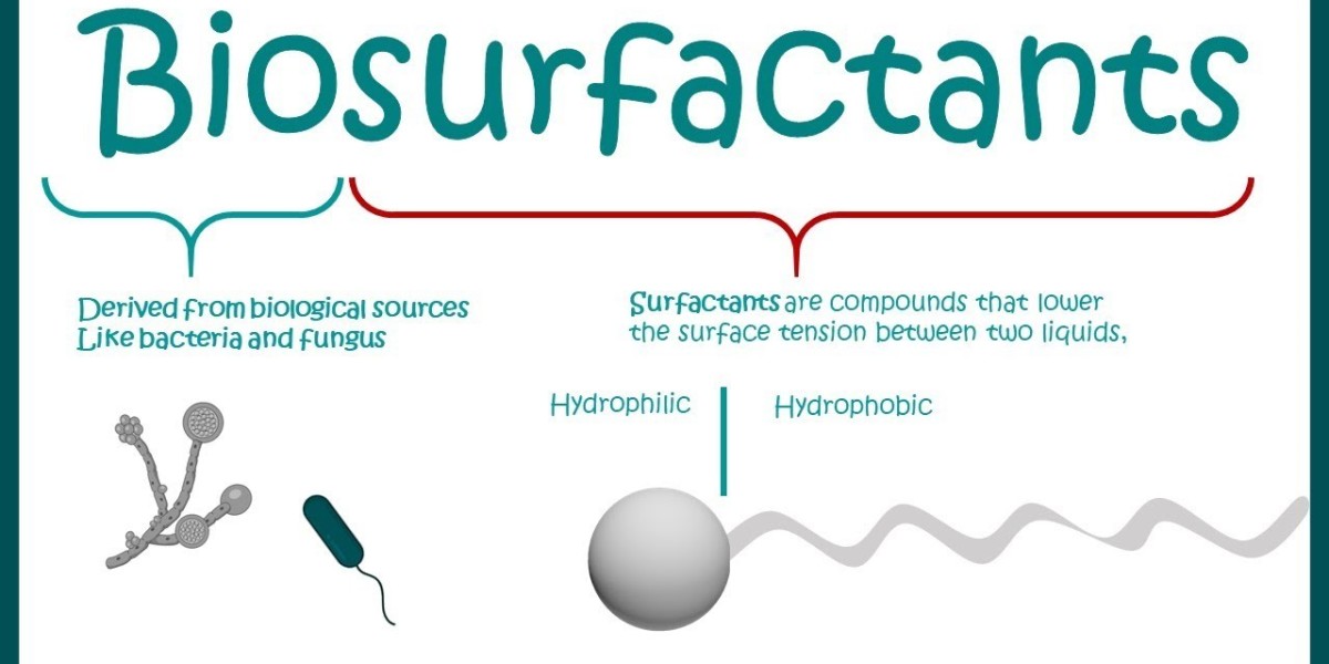 Biosurfactants in Agriculture: Natural Solutions for Soil and Crop Health