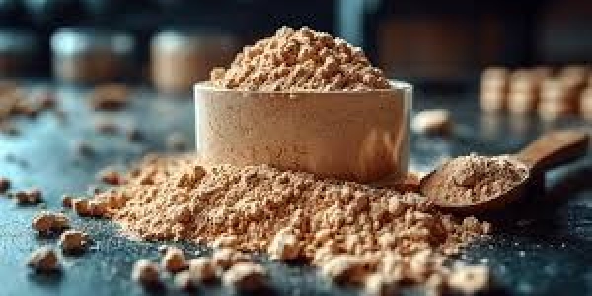 Vegan Protein Powder Market Partnerships Accelerating Brand Reach and Distribution Networks