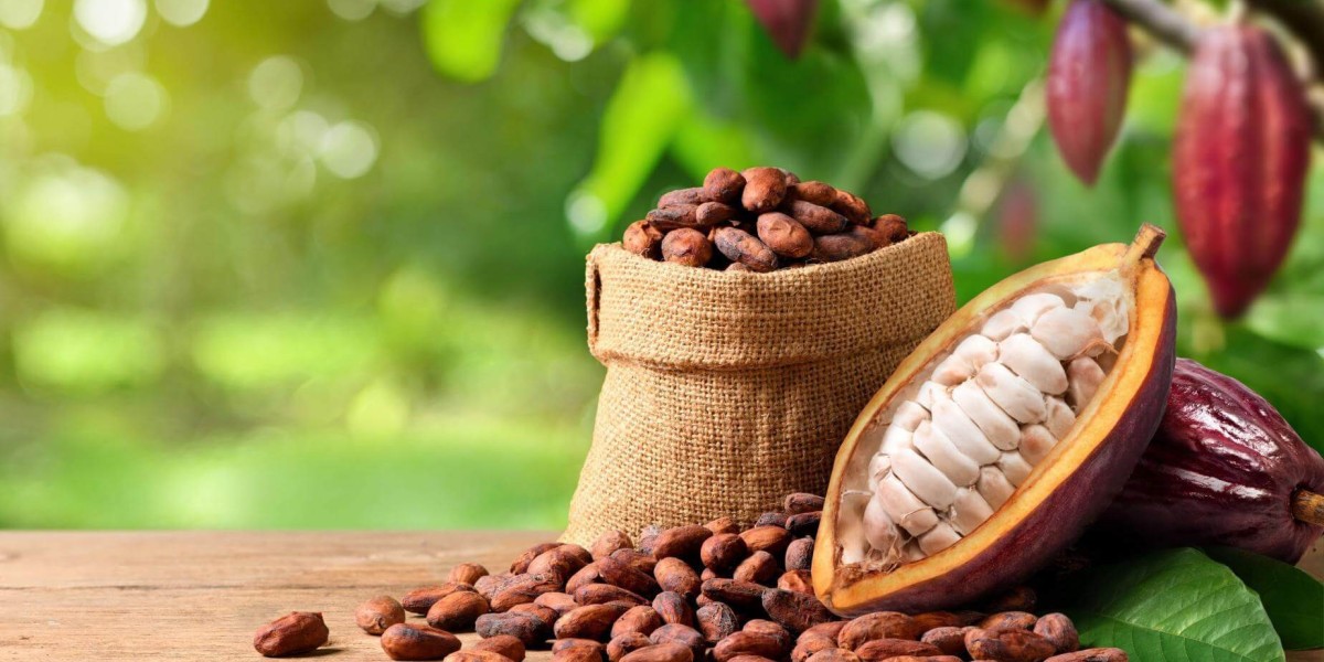Cocoa Market Intelligence Report: Exploring Key Drivers, Forecasts, and Strategic Challenges in Global Trade
