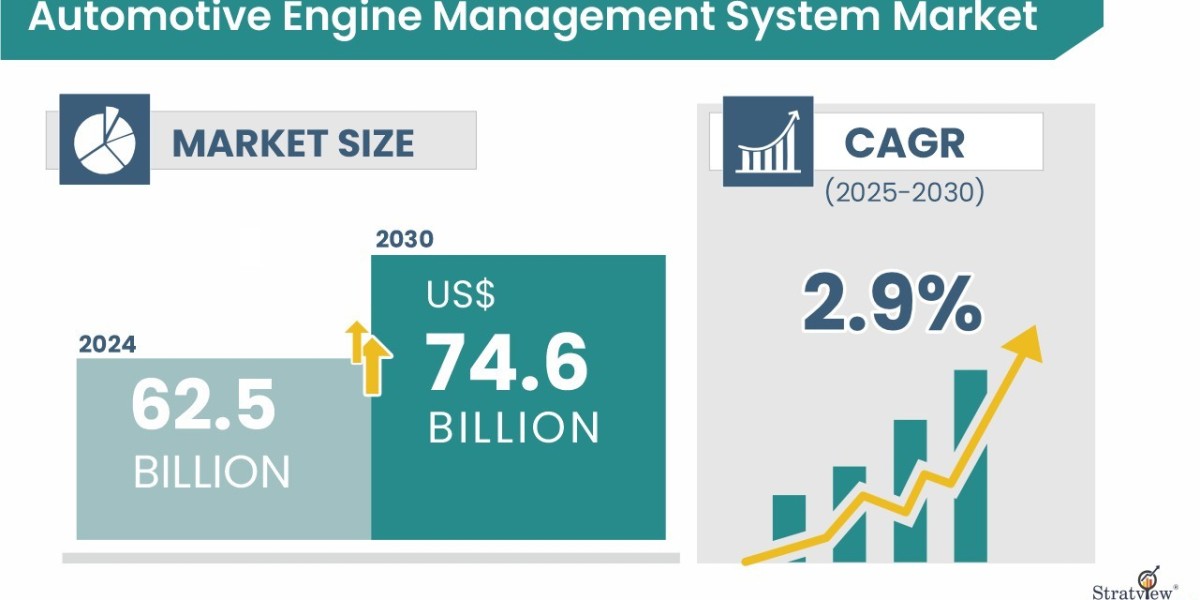 How Automotive Engine Management Systems Are Shaping the Future of Transportation