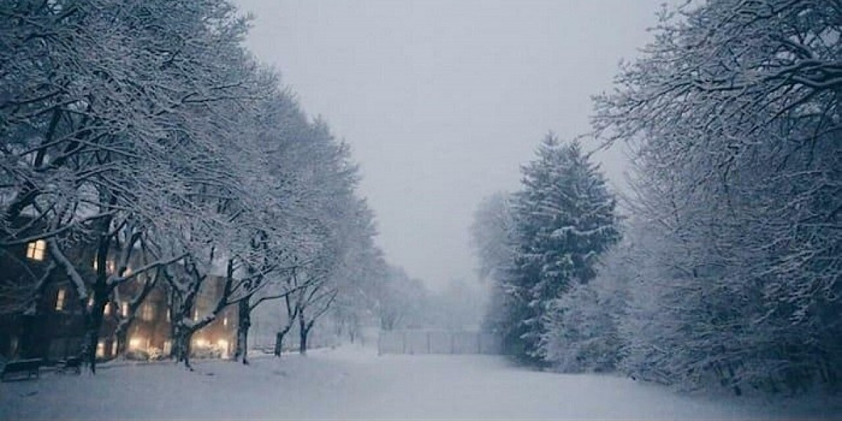 50+ Snow Jokes & Puns For Kids: Happy All Day