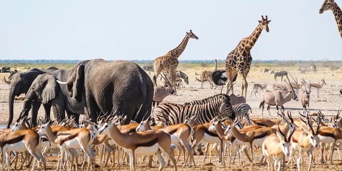 89 Hilarious Animal Jokes Guaranteed to Break Your Funny Bone