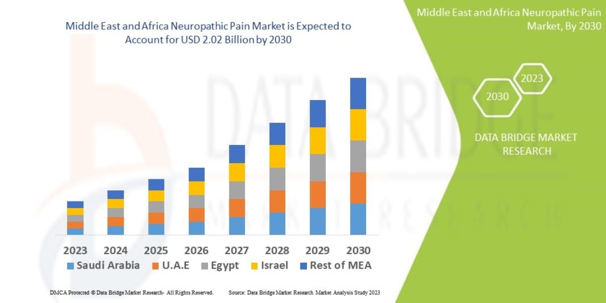 Pain Management Breakthroughs: Middle East and Africa Neuropathic Pain Market Sees Growing Innovation