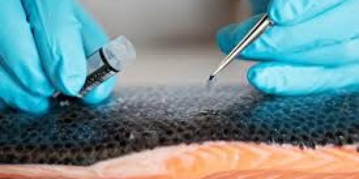 Fish Gelatin Market Dynamics: Sustainability, Health Trends, and Global Industry Growth