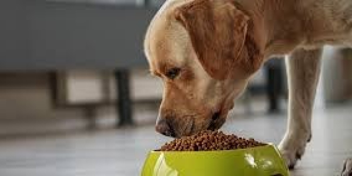 Animal Nutrition Market Intelligence Unveils Strategic Shifts in Feed Formulation and Global Demand