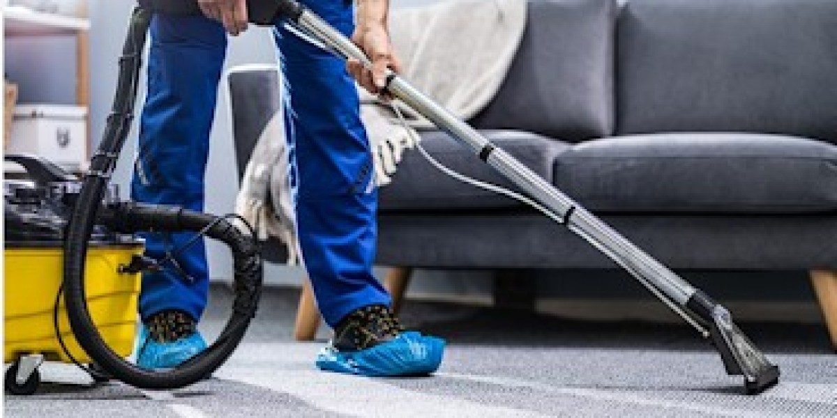 DIY vs. Professional Sofa Cleaning: Which Option Works Best?