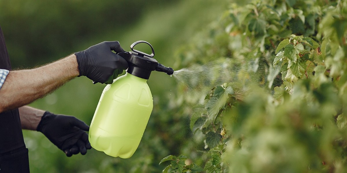Foliar Fertilizers Market Forecast: Growth Prospects and Strategic Outlook Through 2032