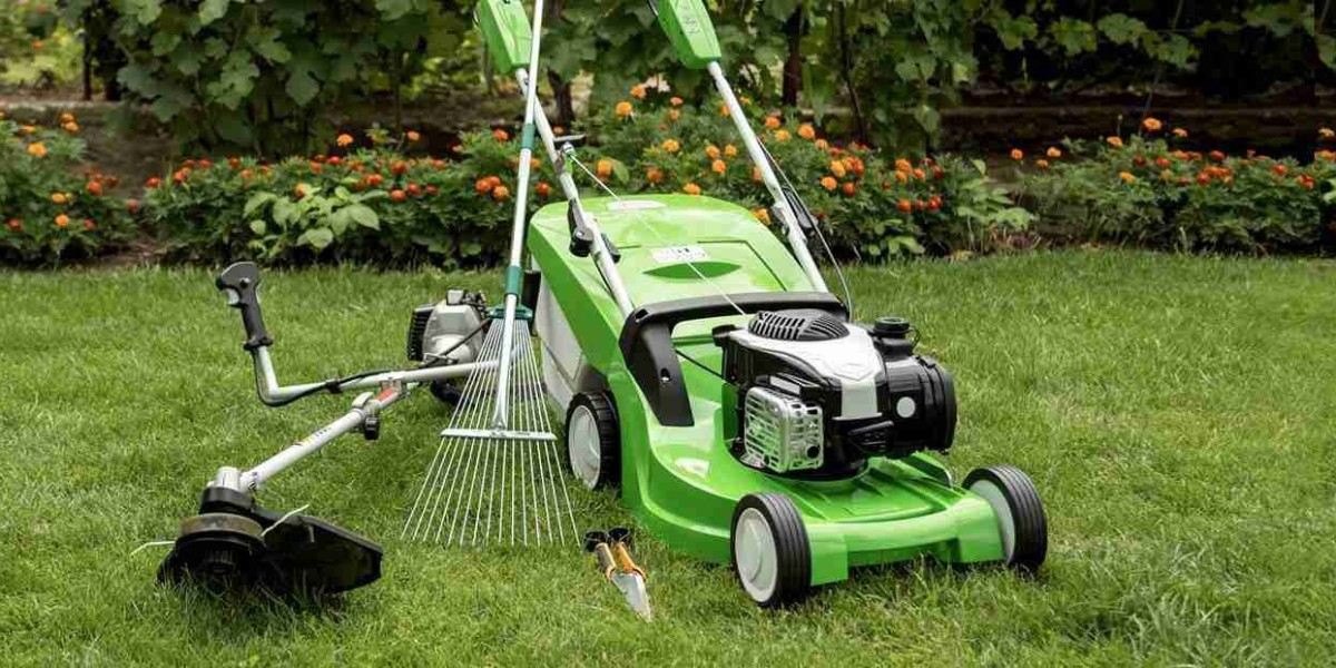 Changing Consumer Preferences Reshape Outdoor Equipment Market
