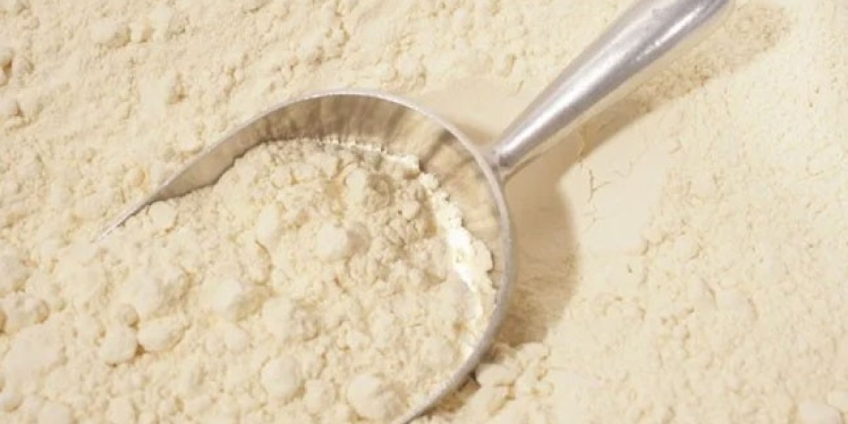 Bread Improvers Market Intelligence: Strategic Insights into Competition, Consumer Behavior, and Global Growth Dynamics