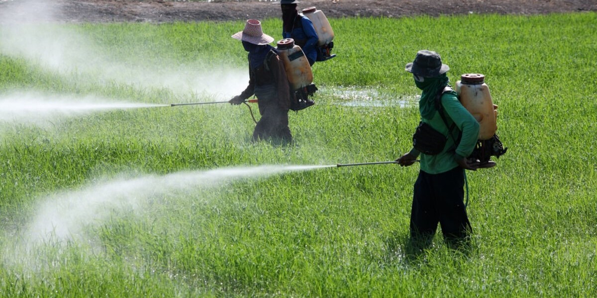 Bioinsecticides Market Encounters Barriers in Scaling Production and Ensuring Consistent Product Quality