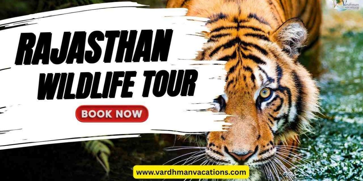 Unveiling the Wild Heart: Your Next Rajasthan Wildlife Tour